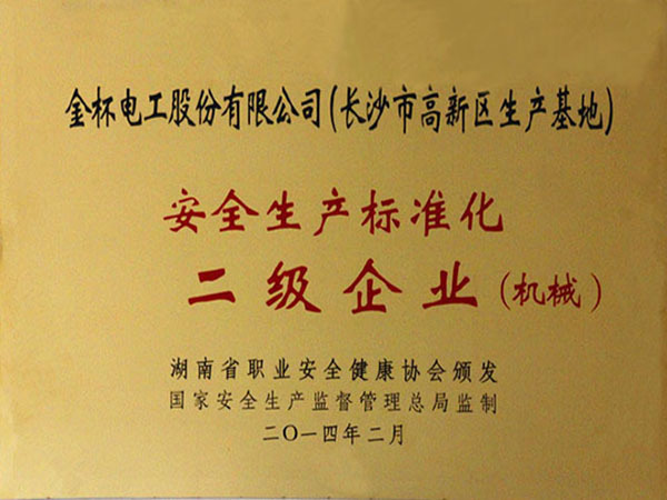 清静生产标准化二级企业